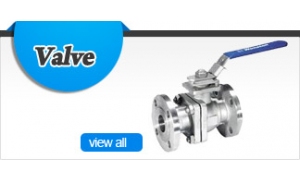 Valve